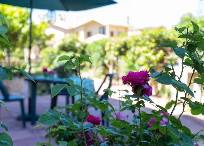 Дом отдыха Lemon Tree *